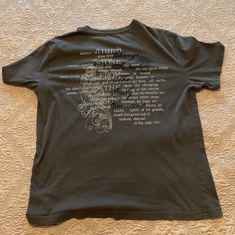 Express V-Neck Tee - Picture 2 of 4